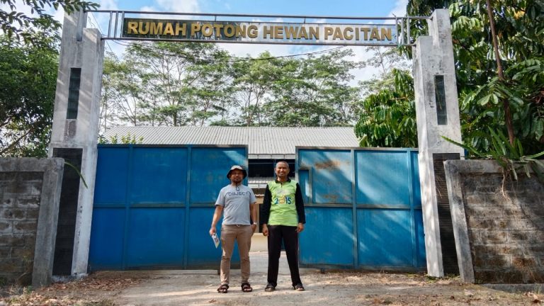 Persiapan Pembuatan Tempat Pemotongan Qurban, Musala Alba Kunjungi Rumah Potong Hewan Pacitan