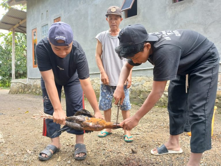 Akhir Tahun 2024, TPA ALBA Adakan Diklat Memotong Ayam untuk Santri Usia SMP/SMA