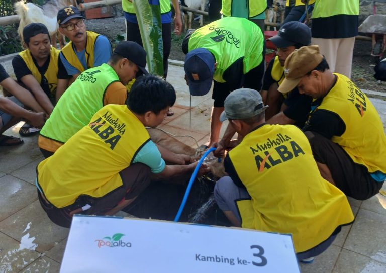 Laporan Kegiatan Kurban Musala Alba Tahun 1446/2025